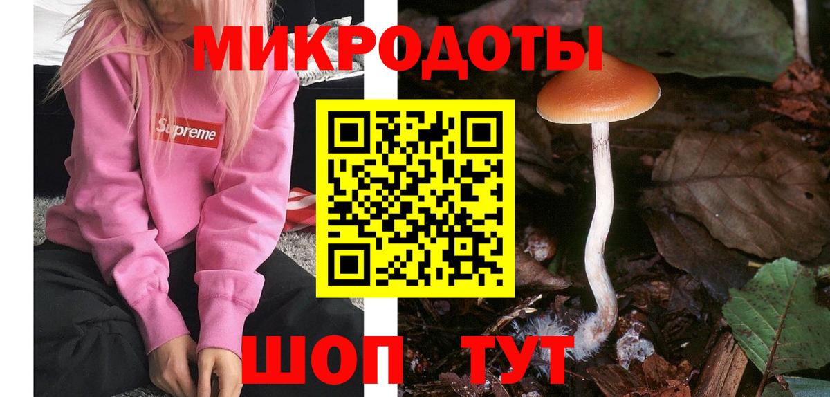 Мирный  Псилоцибиновые грибы Cubensis  Вход с VPN  Галлюциногенные грибы мухоморы 