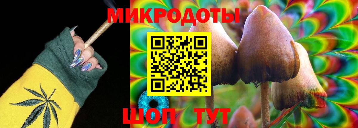 Галлюциногенные грибы Psilocybe Мирный