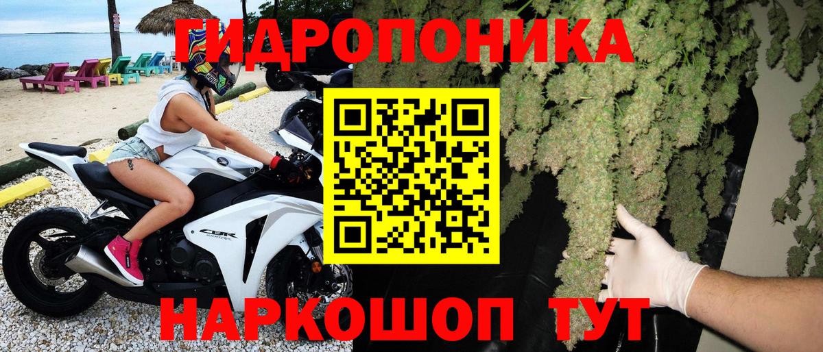 Конопля гибрид  Шишки марихуана марихуана  Вход с VPN  Мирный  Марихуана планчик 